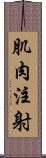 肌肉注射 Scroll