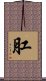 肛 Scroll