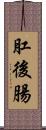 肛後腸 Scroll