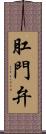 肛門弁 Scroll