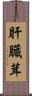 肝臓茸 Scroll