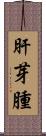 肝芽腫 Scroll