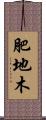 肥地木 Scroll