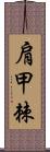 肩甲棘 Scroll