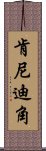 肯尼迪角 Scroll