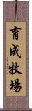 育成牧場 Scroll