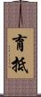 育抵 Scroll