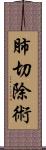 肺切除術 Scroll