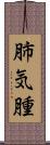 肺気腫 Scroll