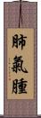 肺氣腫 Scroll