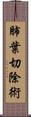 肺葉切除術 Scroll