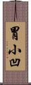 胃小凹 Scroll