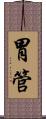 胃管 Scroll