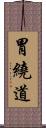 胃繞道 Scroll