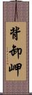 背卸岬 Scroll