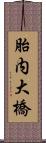 胎内大橋 Scroll