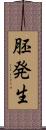 胚発生 Scroll