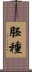 胚種 Scroll