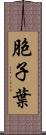 胞子葉 Scroll