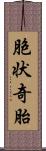 胞状奇胎 Scroll