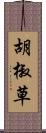 胡椒草 Scroll