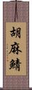 胡麻鯖 Scroll