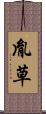 胤草 Scroll