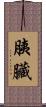 胰臟 Scroll