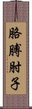 胳膊肘子 Scroll