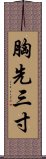 胸先三寸 Scroll