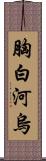 胸白河烏 Scroll