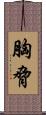 胸脅 Scroll