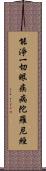 能淨一切眼疾病陀羅尼經 Scroll