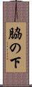 脇の下 Scroll