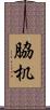 脇机 Scroll