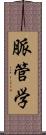 脈管学 Scroll