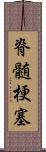 脊髄梗塞 Scroll
