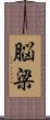 脳梁 Scroll