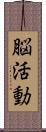 脳活動 Scroll