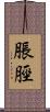 脹脛 Scroll