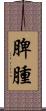 脾腫 Scroll