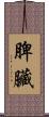 脾臟 Scroll