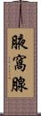 腋窩腺 Scroll