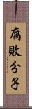 腐敗分子 Scroll