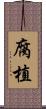腐植 Scroll