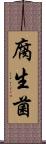 腐生菌 Scroll