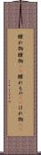 腫れ物 Scroll
