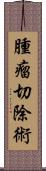 腫瘤切除術 Scroll