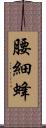 腰細蜂 Scroll