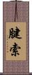 腱索 Scroll